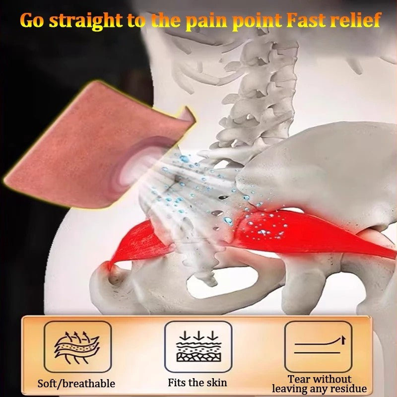 Japan Sciatica Pain Relief Patch